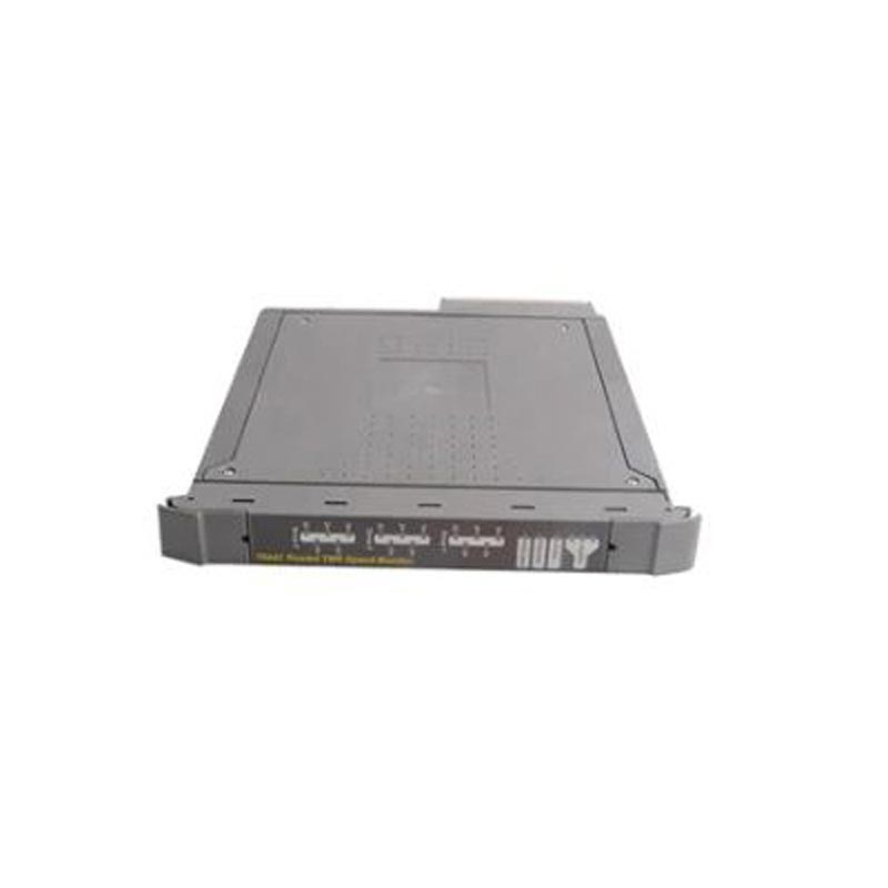 ICS Triplex T8086-2